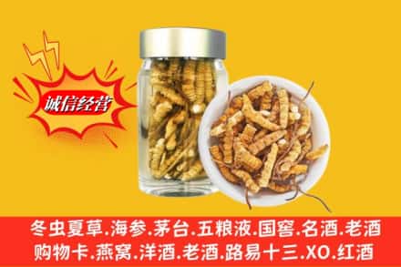 恩施州建始县回收散虫草