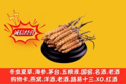 恩施州建始县名酒回收冬虫夏草.jpg